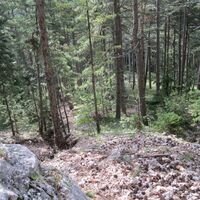 Eine kleine Hohe Wand Runde