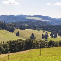 Blick zur Todtnauberger Kapelle