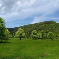 Große Wiese
