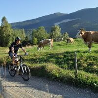 Radfahrer im Lipnatal