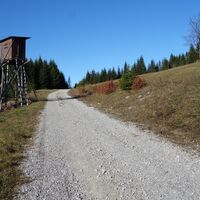 Wieselboden