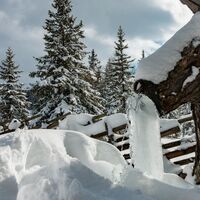 im schnee auf die packeralpe_img_25667539