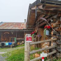 Katzsteinalm – Einkehrziel für Wanderer und Mountainbiker