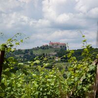 Genusswanderweg Riegersburg
