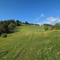 Aufstieg Frankenfelsberg,