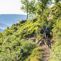 Singletrail