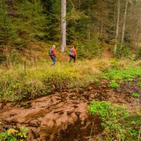 Das Laufen direkt am Bach entlang ist Wandergenuss pur