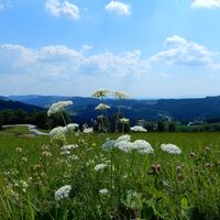Gschaidt - Pichl - Schlag - Mönichkirchen