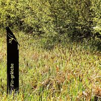 Marais Massilly @J CHR PARCEL (5)