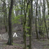Aufstieg am Eichenleitenberg