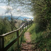 Wanderweg am Fürstensteig