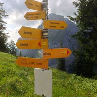 die gelben Wegweiser