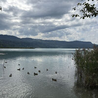 A170 Velden am Wörthersee - Klagenfurt Annabichl