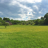 Blühende Wiesen im Renchtal
