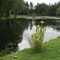 Haugschlag - Gmünd