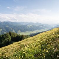 Frühlingswerwachen über dem Konstanzer-Tal