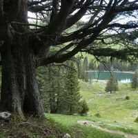 Blick oberer Gantrischhütte zum Seeli - Gantrischseeli