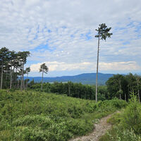 Steiniger Weg_Ausblick