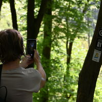 Fotospot am Wanderweg in Ostwig