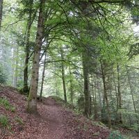 Nach der Eyachmühle gehen wir über einen naturbelassenen Pfad zum Mannenbächle.