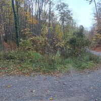 Abstieg am unmarkierten Steig im "Langen Tal"