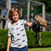 Greifvogelpark Buchs