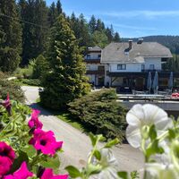 Forellenwirt Bacher