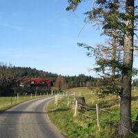 Ebenwald