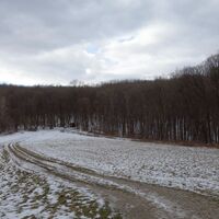 Am Weg Richtung Windischhütte