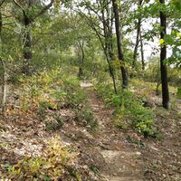 Aufstieg Braunsdorfer Donauwarte