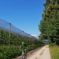 Val di Fiemme Eisenbahn