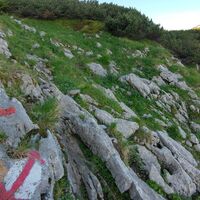 Kreuzung Hirschluckensteig, Weg Riederhütte/Hochleckenhaus