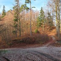 Abstieg Übergang zur Ruine Rabenstein