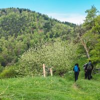 Wanderung am Geo-Pfad