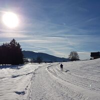 Langlaufloipe Alberschwende