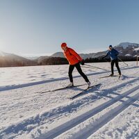 Im Hintergrund die Gemeindealpe