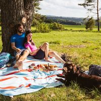 Picknick am Traufgang Zollernburg-Panorama