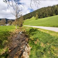 In der Schrems, Naturpark Almenland in der Oststeiermark