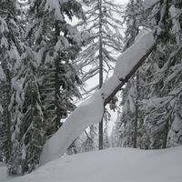 Zum Dorfberg