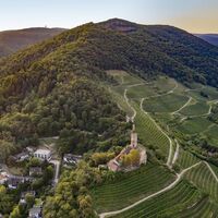 Tourismus Service Bergstrasse Burgensteig Schriesheim Thomas Fischer