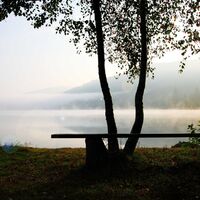 Morgenlicht am Titisee