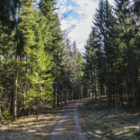 Mildersbachtalrundweg