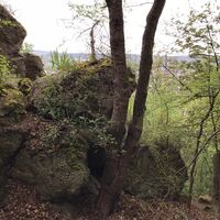 Zechsteine