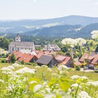 Blick vom Roßberghang übers Dorf