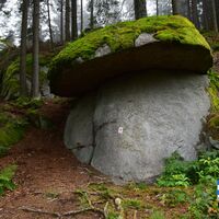 NWKW_II_Tag12_Pilzstein_1093