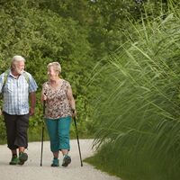Wanderer im Ried auf der Mindelsee-Runde