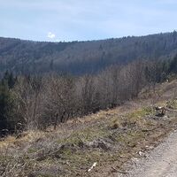 14.8 km Blick zum langen Rücken des Spadenbergs