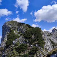 Rückblick zum Angerstein