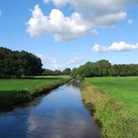 Wittenberger Aue