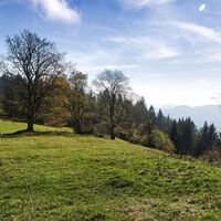 Wir wandern über Almwiesen